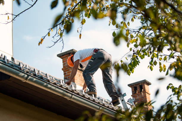 Roof Waterproofing Services in Savage, MN
